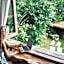 Roots Tree House
