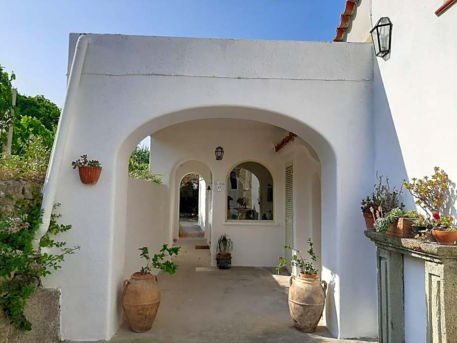 Il Vitigno di Dioniso