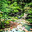 Hacienda Guachipelin Volcano Ranch Hotel & Hot Springs