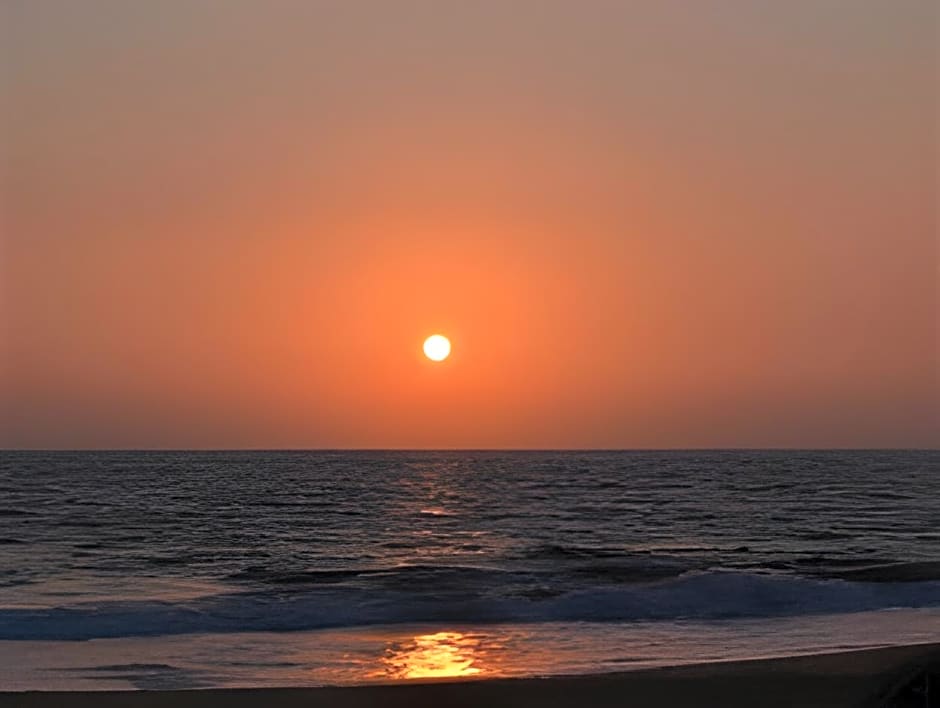 Sea Shine