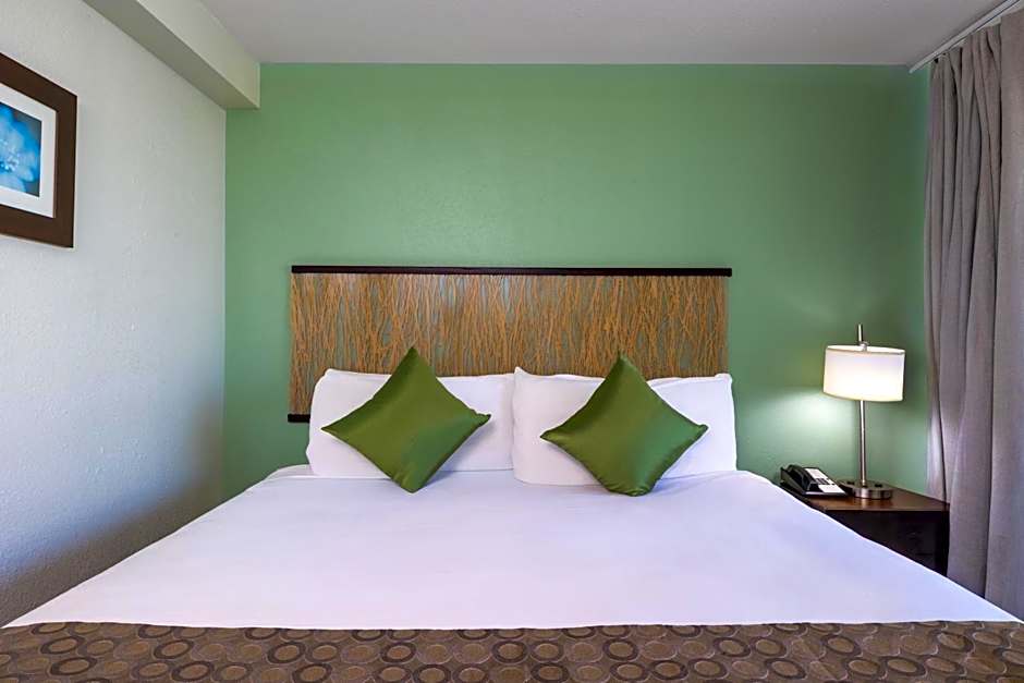 Photo 1 of 20 of 1 Bedroom Suite, City View