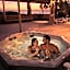 Baca Beach Escape II
