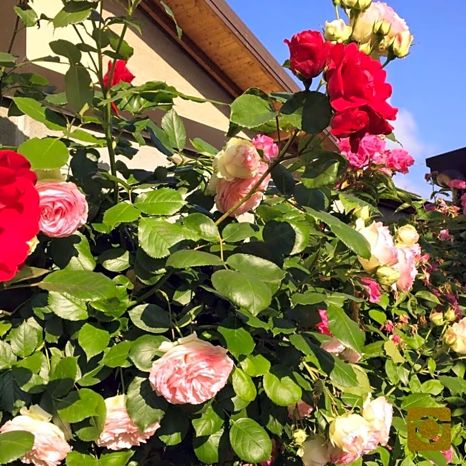 Bigatt Bed & Breakfast – Vanzago, DC
