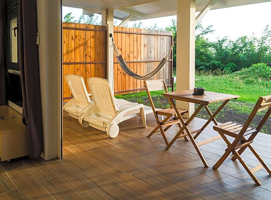 Studio : Écaille de tortue