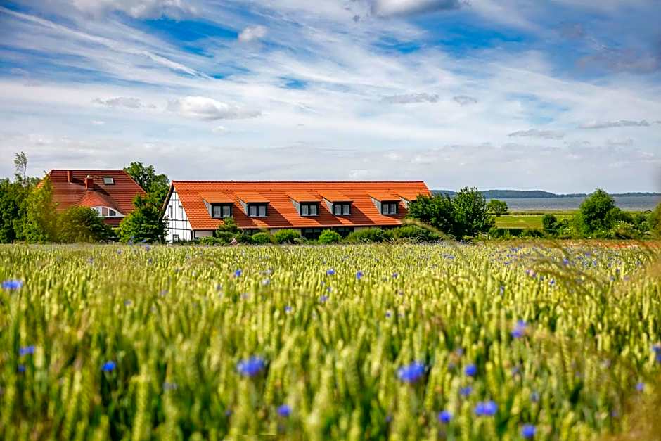 H.W.S. Hotel Der Wilde Schwan