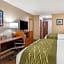 Comfort Inn Birmingham - Irondale