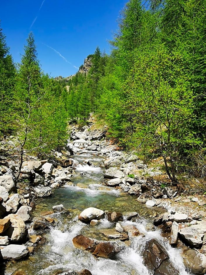 Les marmottes d Estenc