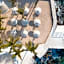 Cozumel Palace - All Inclusive