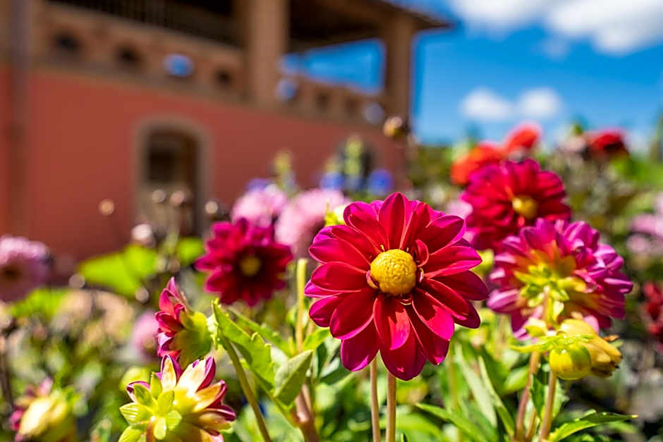 Villa Campomaggio Resort & SPA