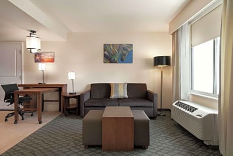 King Studio Suite - Mobility Access/Non-Smoking
