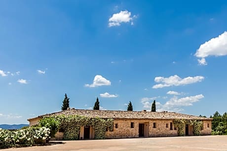 Château Rasque - Teritoria