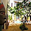 Riad du Ciel Marrakech