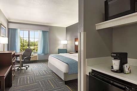 King Studio Suite Room Non Smoking