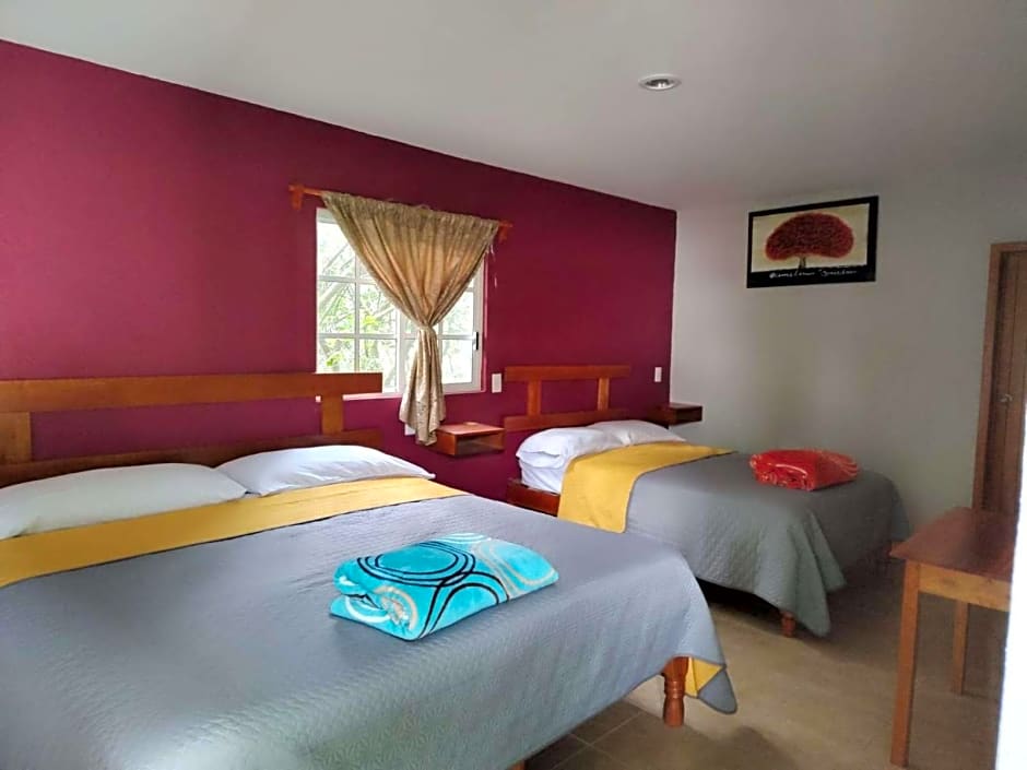Hotel posada onix xilitla