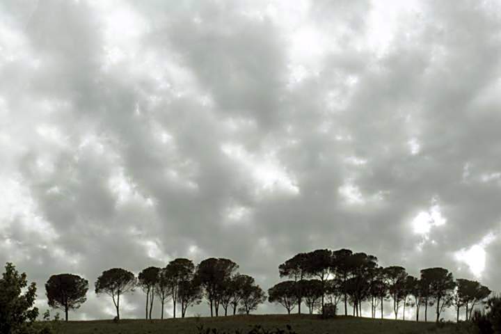Tenuta Agricola Fonte Di Papa