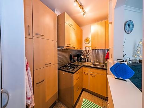 Studio with sleeping area for family