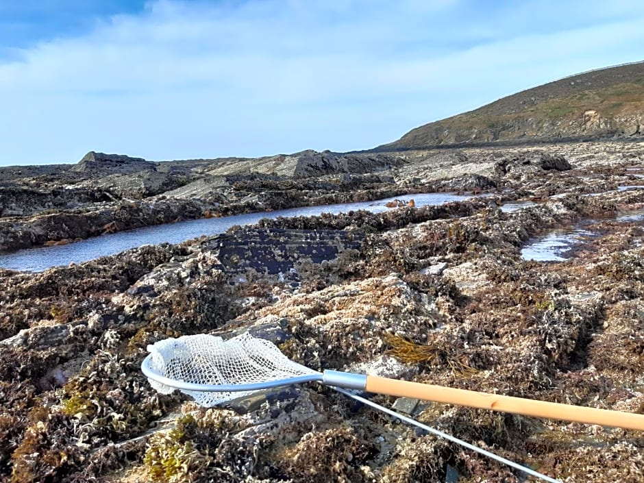 A la Ferme de Saint Germain