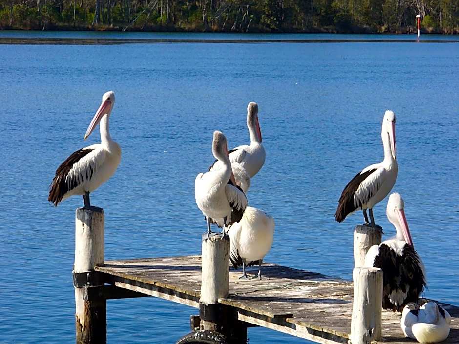 Huskisson Beach Motel