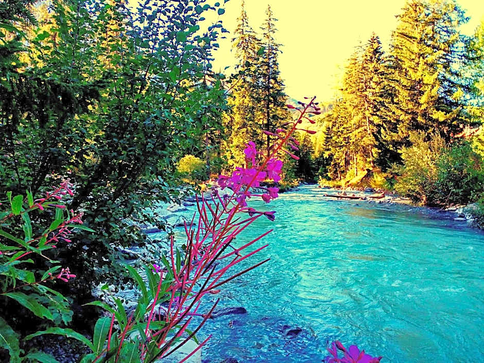 Hotel Boton D'Or & Wellness