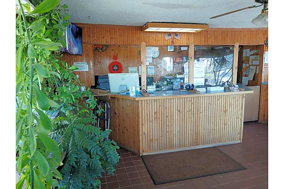 American Inn by Oyo Rooms – Vernon, TX