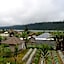 Dajan Buyan Homestay