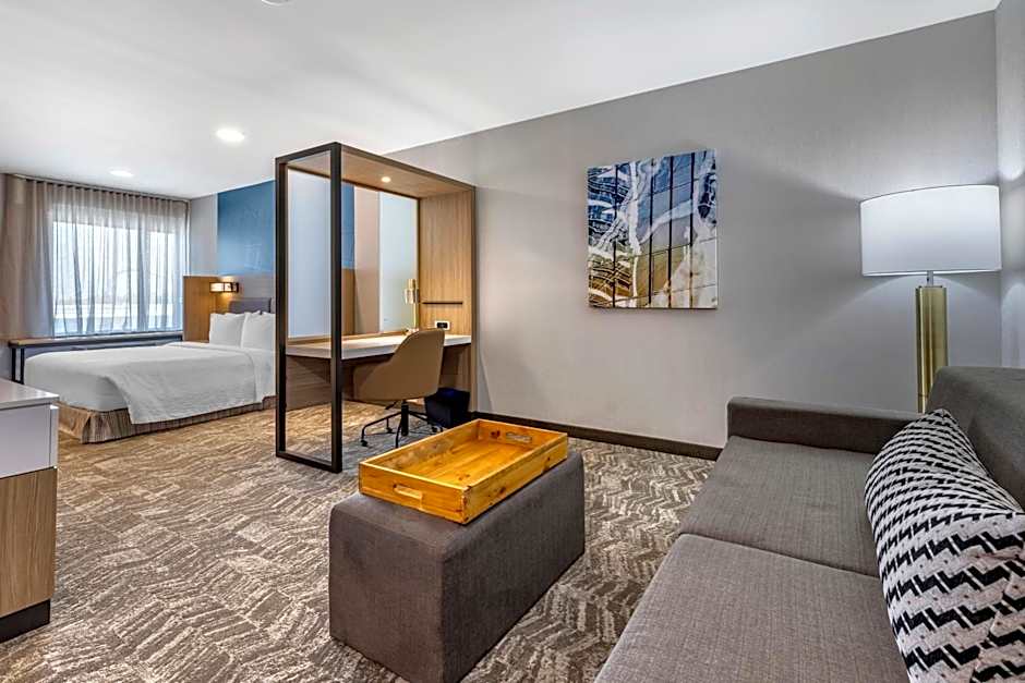 SpringHill Suites by Marriott Anaheim Placentia/Fullerton