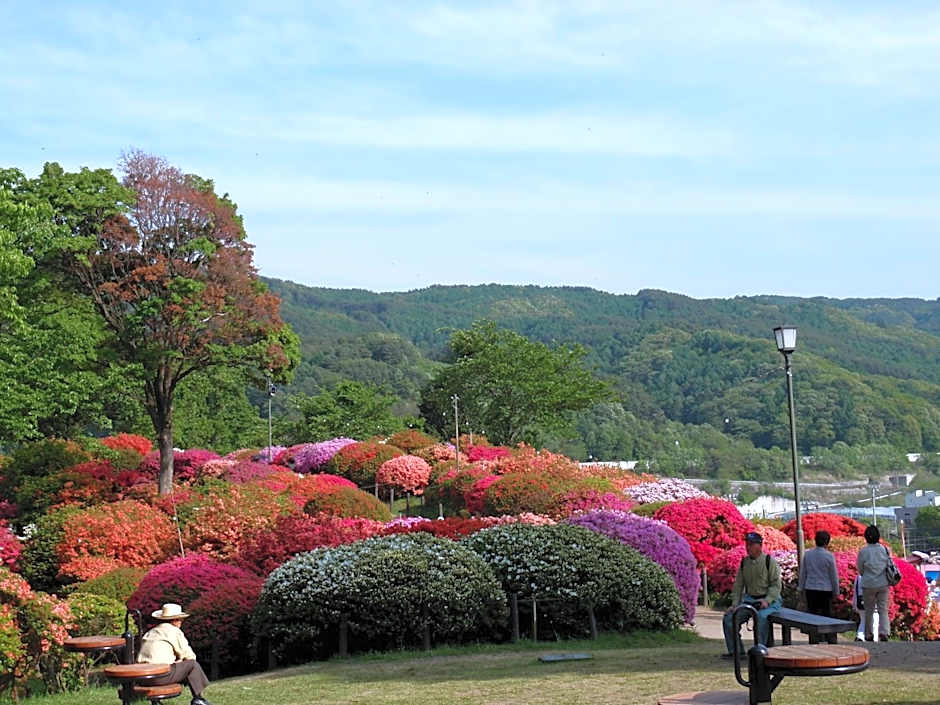Hotel Crown Hills Okaya