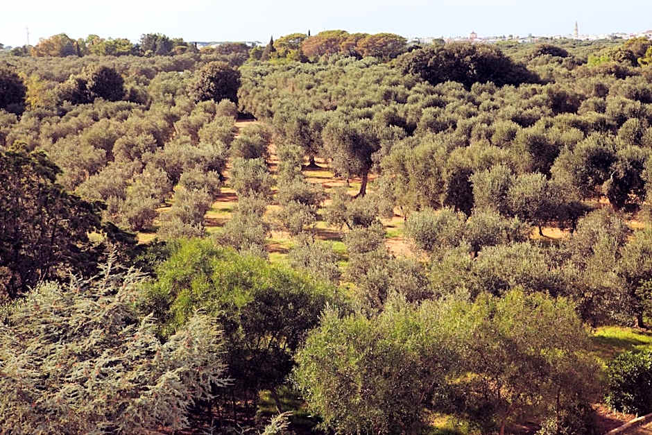 Masseria Borgo Mortella