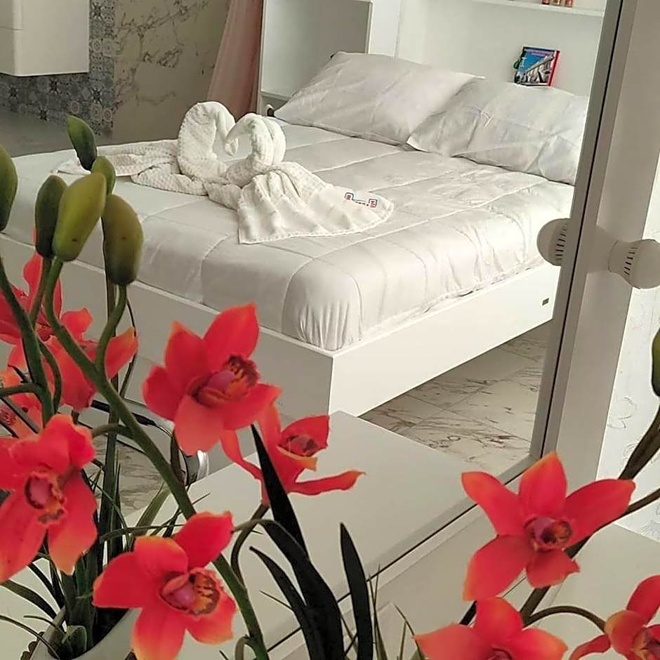 HOTEL MESON POSADA