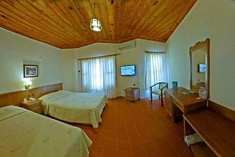Double or Twin Room with Extra Bed