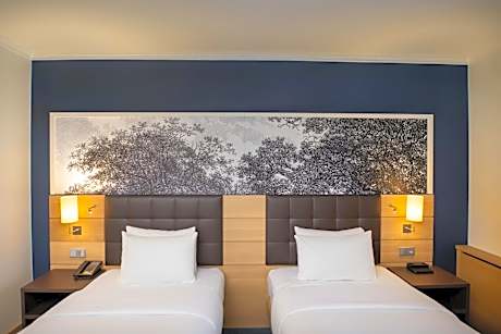 Twin Executive Room with River View - Rhine Wing