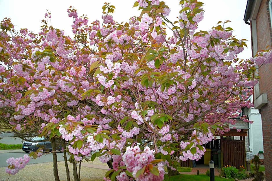 Hotel Südstrand Amrum