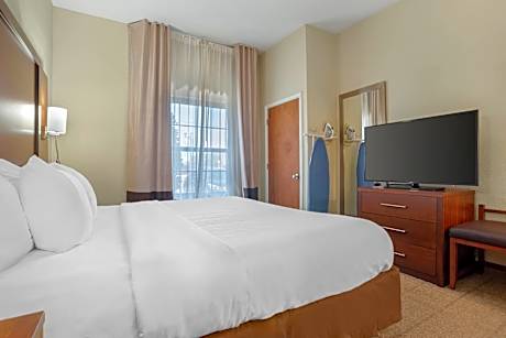 1 King Bed Suite Nonsmoking Accessible