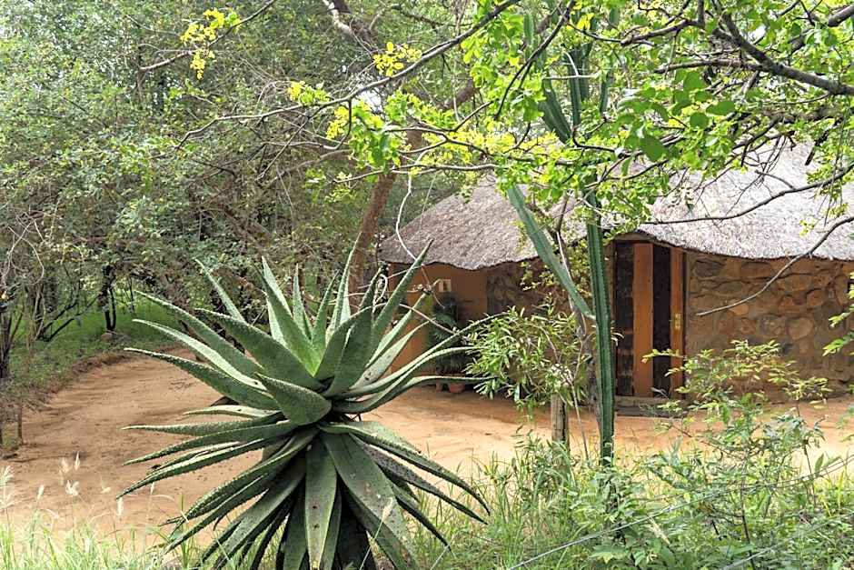 Shumba Safari Bush Camp