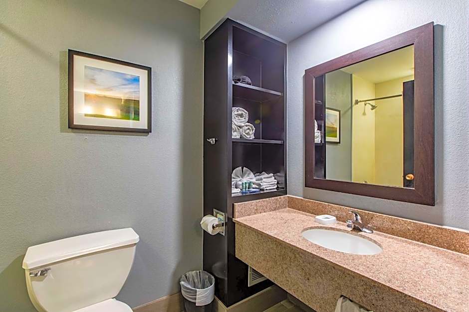 Best Western Rochester Mayo Clinic Area/Saint Mary's