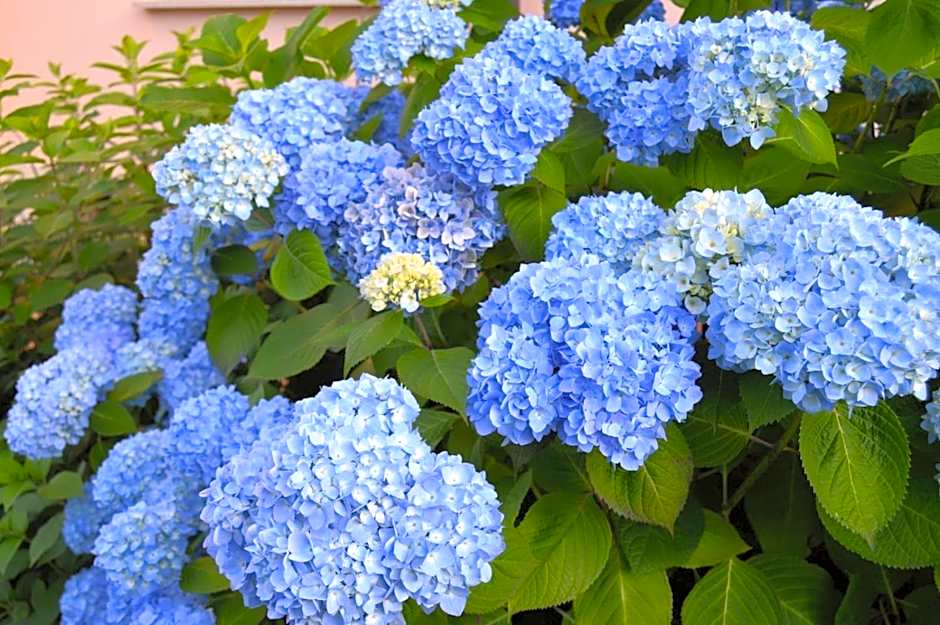 Hotel Rural Arpa de Hierba