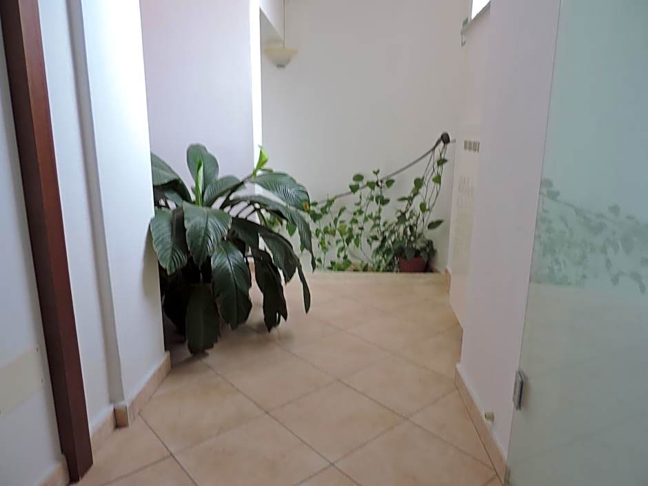 Albergo Ristorante Pizzeria La Bocca di Bacco