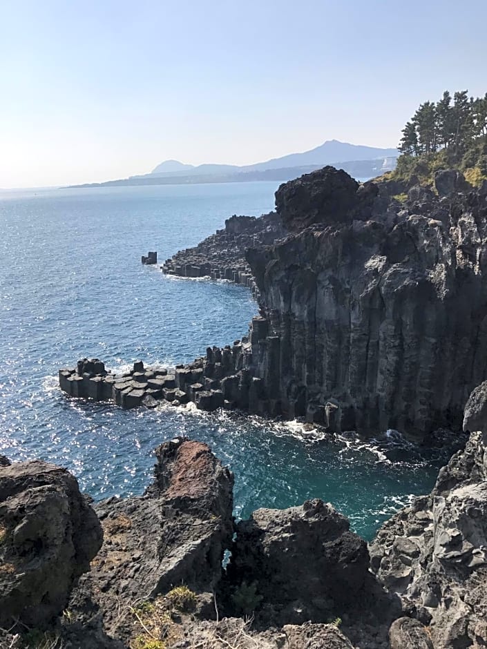 Dreaming Forest Pension