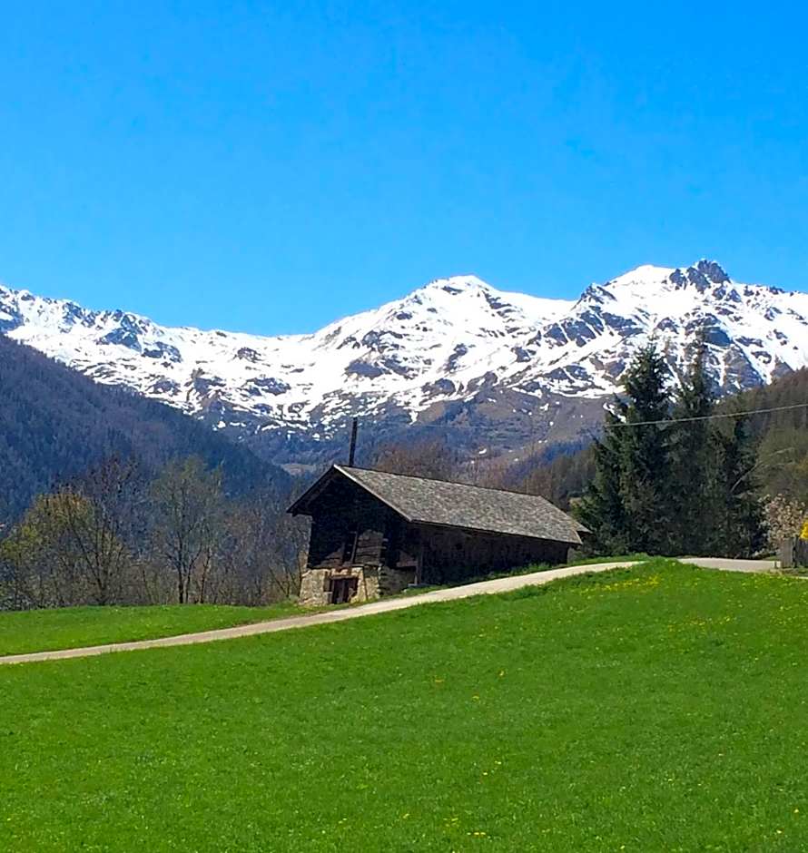 Agritur Maso Ciprianna B&B