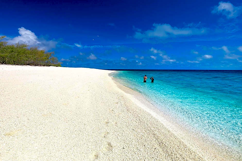 Wilson Island