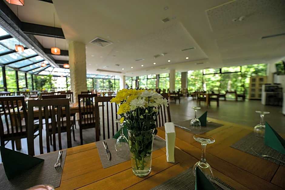 Hotel Posada Vidraru