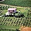 B&B Il Girasole - Rooms & House in country - air conditioned - 1500 meters from historic center