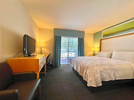 Superior Suite King Room Smoke Free