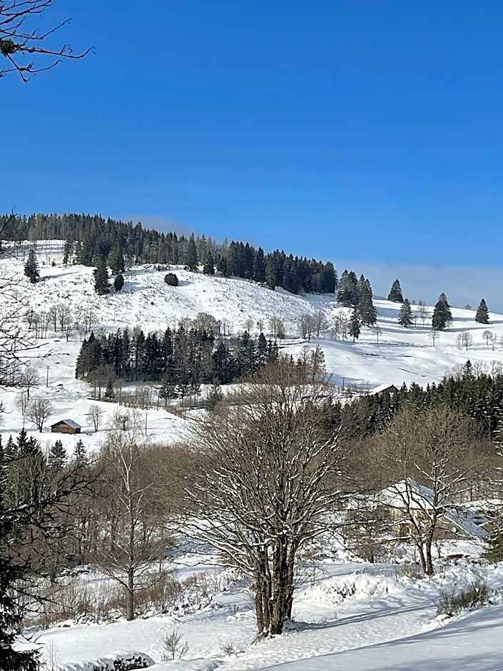 La Ferme de Jean entre lacs et montagnes