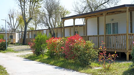 Lodge Dog (pet allowed with extra fee)