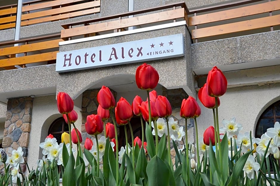 Hotel Alex