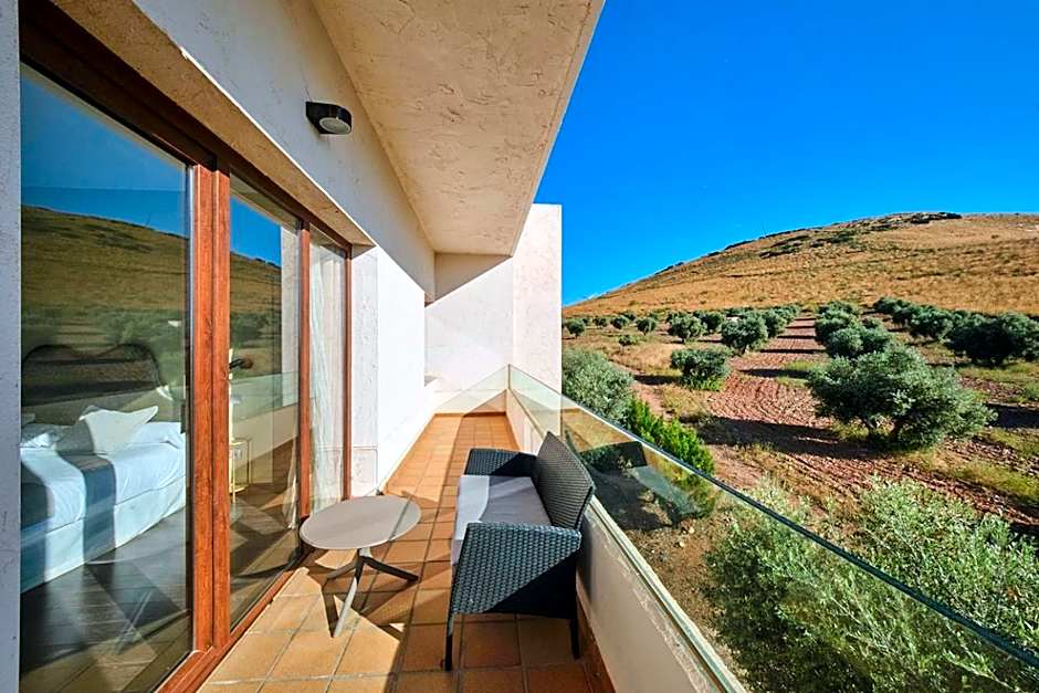 Hotel Spa Villa Nazules