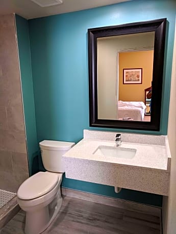 1 King Bed  Non-Smoking High Speed Internet Access Refrigerator Coffee Maker Full Breakfast