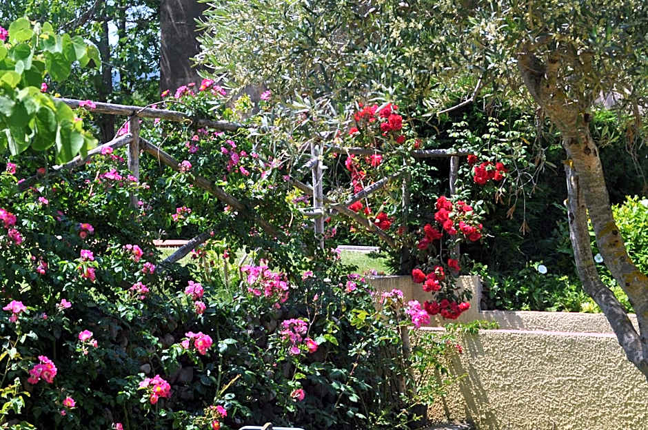 Hotel Tirrena Bike & Country Hotel