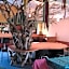 Organic Guesthouse & Cafe OHANA
